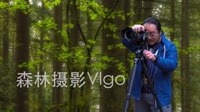 绿色标志使用权的有效期是几年-热门的社交性红迪网平台